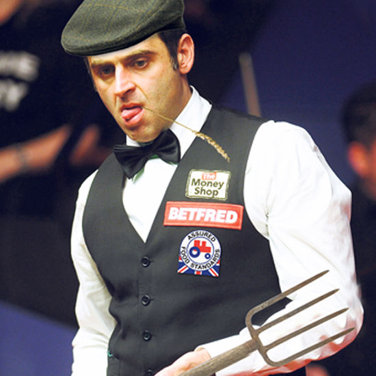 也许未来会 也许未来会